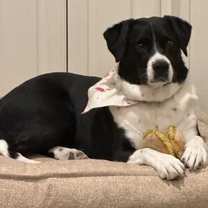 Meet your Posher, Cristina